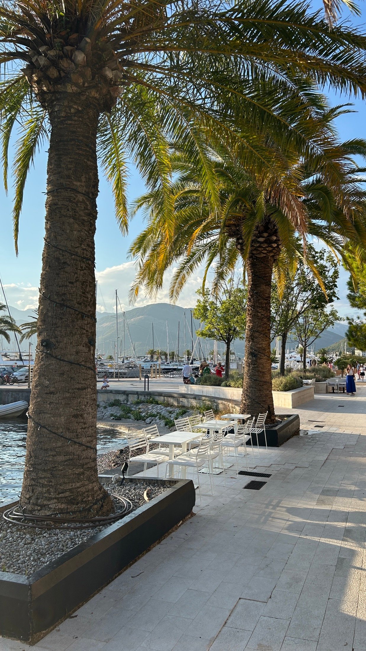 Die Küstenstadt Tivat in der Bucht von Kotor